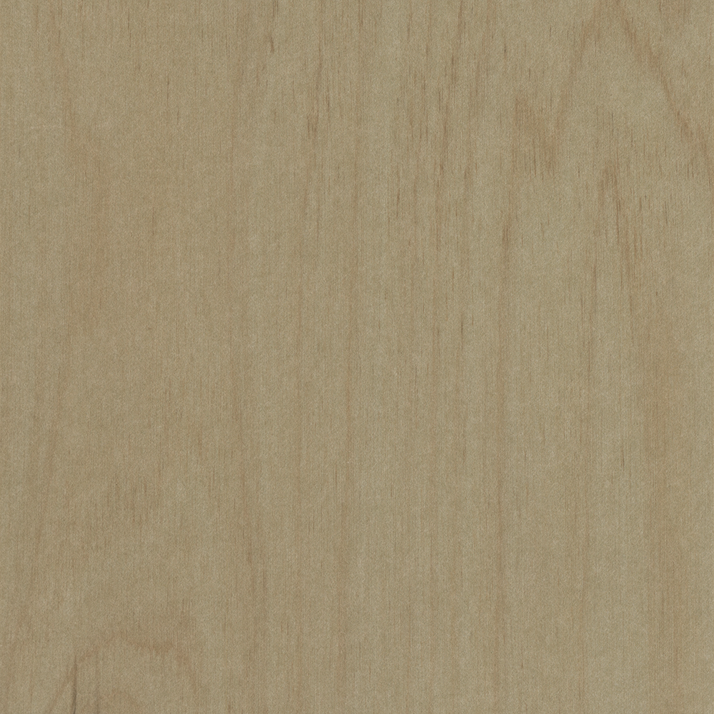 baltic-birch
