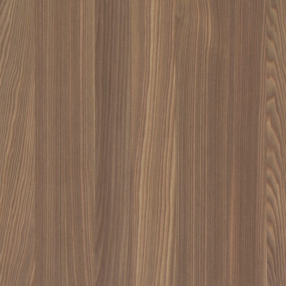 european-larch