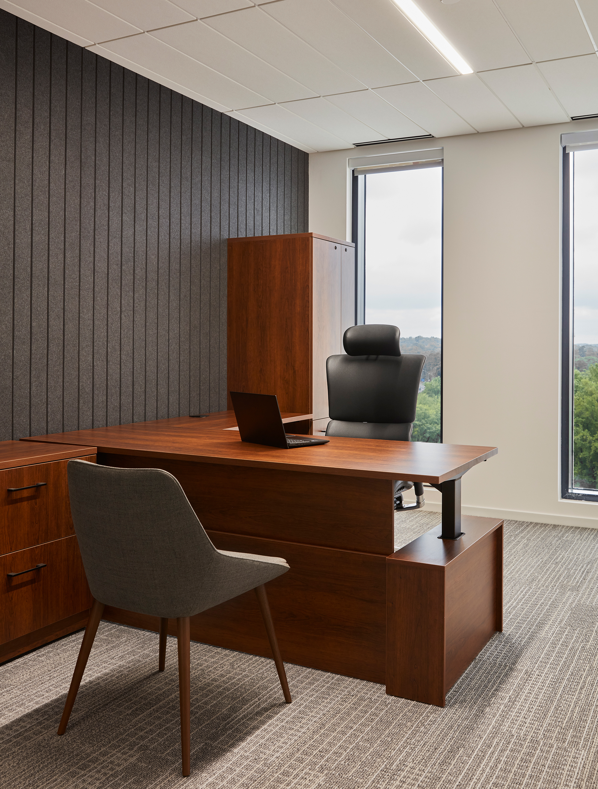 Modern office interior with a wooden desk set against a wall with vertical acoustic felt paneling. A leather chair is behind the desk, and a wooden cabinet is in the corner. A laptop is open on the desk. Large windows reveal a view of greenery outside.