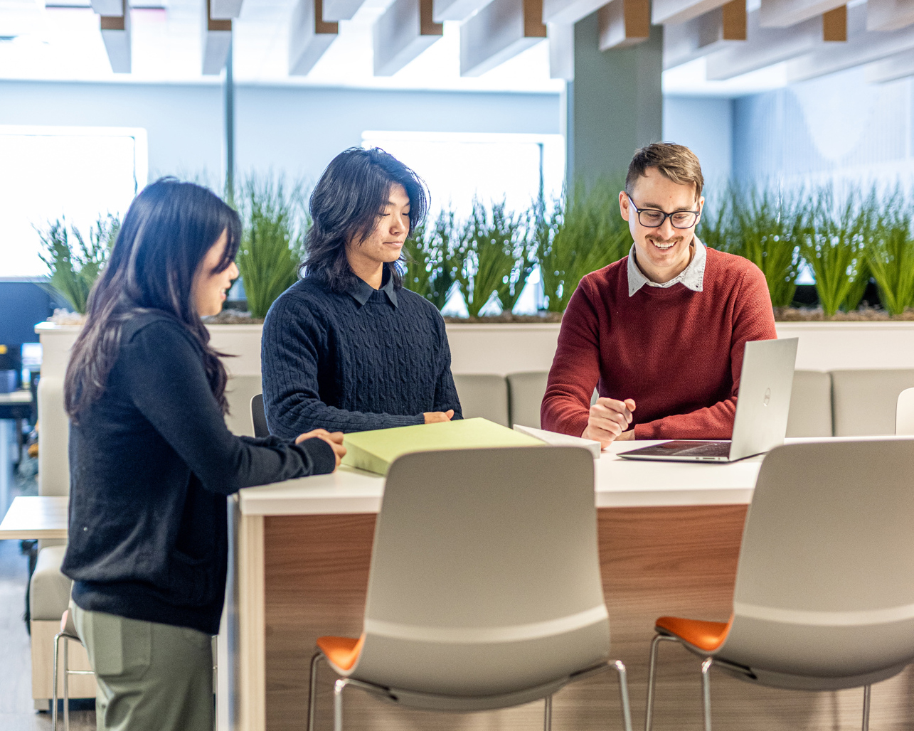 Three people are gathered around a table in a modern office setting, embodying team growth. Two stand while one sits with a laptop, smiling. There are plants in the background and light streaming through the windows, creating an atmosphere of building the future collaboratively.