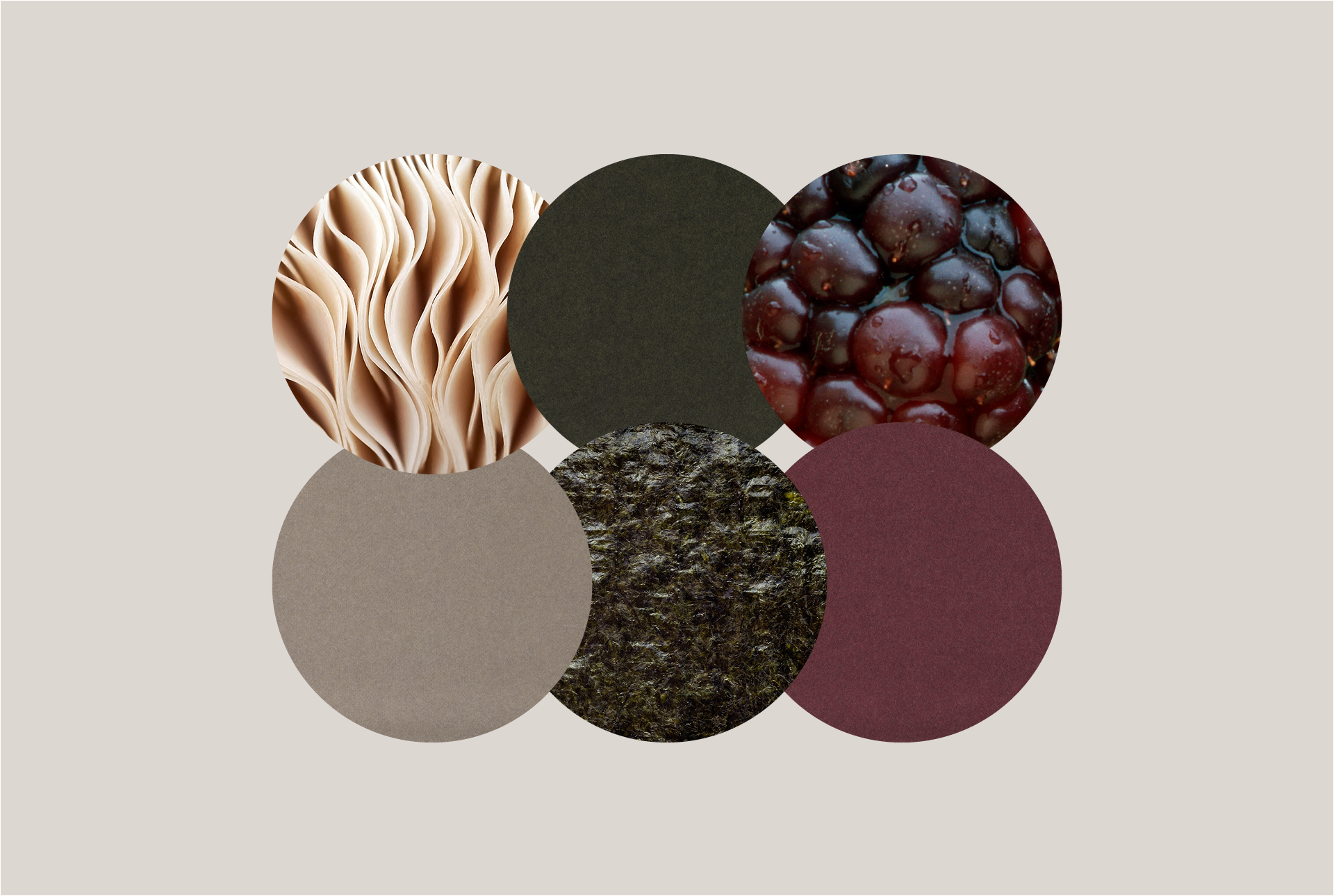 Color Inpired Three new Premier Collection colors inspired by nature’s inner circle ...